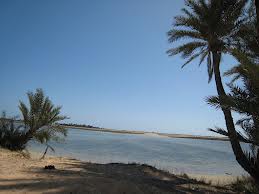  playa de Djerba
