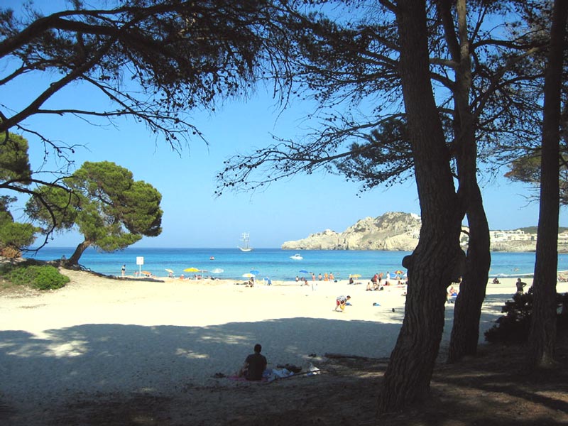 Alcudia-Playas de Mallorca