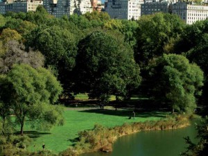 central_park