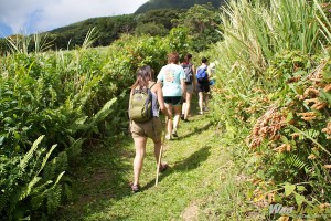 Trekking