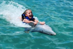 Foto de Dolphin Explorer
