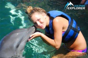 Foto de Dolphin Explorer