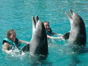 Foto de Ocean World