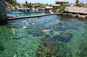 Foto de ocean World