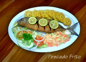 GASTRONOMIA Y PLATOS