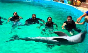 Acuario Waterland