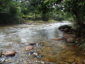 Bello Lugar para disfrutar