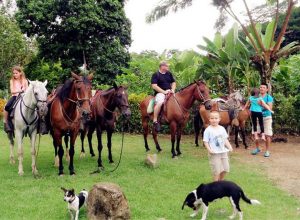 Cabalgatas con Lalo Tours