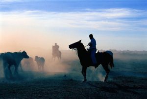 Caballos Turismo