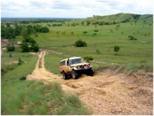 Caminos en cuatro ruedas
