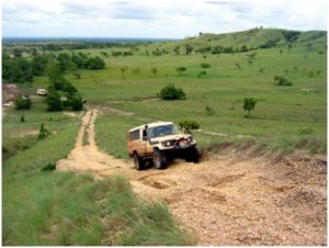 Caminos en cuatro ruedas