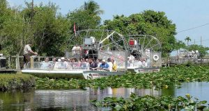 El Parque Nacional Everglades