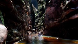 En lo profundo de la Cueva