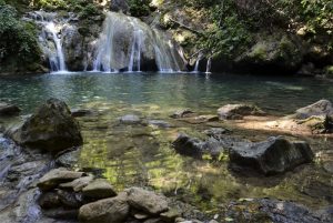 Encantos del Parque Nacional Terepaima