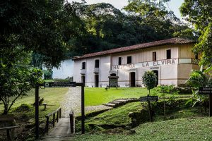 Hacienda La Elvira