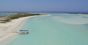 Isla la Tortuga