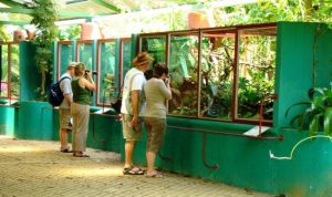 Mirador Parque Reptilandia