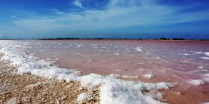 Paradisiacas Salinas