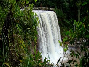 Parque Nacional El Tamá