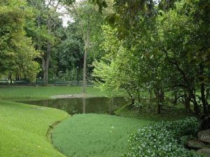 Parque Nacional Macarao