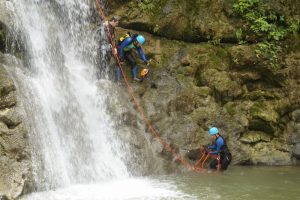 Actividades dentro del parque