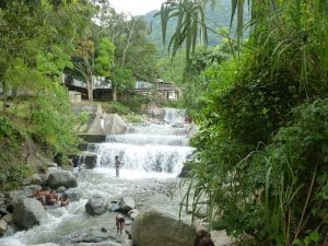 Cascadas del parque
