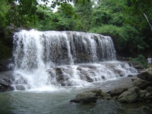 Hermosa cascada del parque