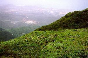 Vista desde la cima de El Cerro Copey