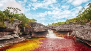 Caño del rio de los 5 colores
