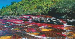 Colores en el rio