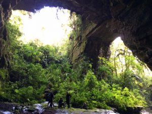 Cuevas en el parque