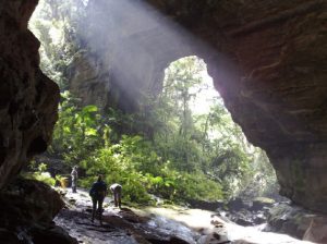 Cueva los Guacharos