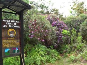 Entrada al parque los guacharos