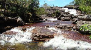 Rio en el parque la Macarena